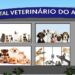 Causa animal: Manaus ganhará o primeiro hospital público veterinário do Amazonas