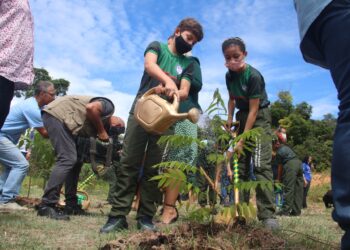 Prefeitura refloresta área com mais de 4 hectares na zona Leste em parceria com a Águas de Manaus