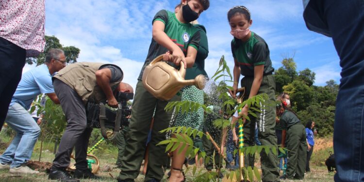 Prefeitura refloresta área com mais de 4 hectares na zona Leste em parceria com a Águas de Manaus