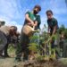 Prefeitura refloresta área com mais de 4 hectares na zona Leste em parceria com a Águas de Manaus