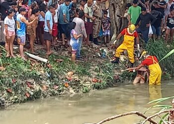 Manaus: Corpo de homem é encontrado boiando em igarapé só de cueca