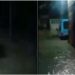 Casas são alagadas durante forte chuva em Manaus; VEJA