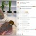 Britney Spears publica vídeo de ovo de Páscoa de confeitaria de Rondônia e loja bomba na internet