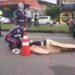 Mulher morre ao ser atropelada por motoqueiro, na Cidade Nova