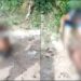 Vídeo: Homem que teria estuprado menina de 10 aos é espancado por populares, no Mauazinho