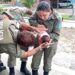 VÍDEO: Bebê recém-nascida de 9 dias é salva por policiais militares após ficar engasgada