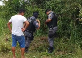 Corpo de recém-nascido é encontrado sendo devorado por animais em Itacoatiara