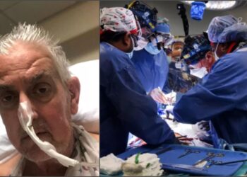 Morre primeiro homem a receber transplante de coração de porco