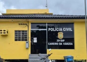 No Amazonas, homem decepa orelha de esposa e coloca a culpa no ventilador