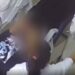 Vídeo: “Paciente” mostra partes íntimas para dentista durante consulta, na zona Leste de Manaus