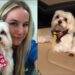 Ladrões armados rendem funcionário de pet shop e roubam cachorrinho