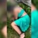 Mulher forja o próprio sequestro para extorquir dinheiro da família e acaba sendo presa