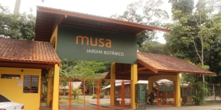 Visitantes e funcionários são assaltados dentro do Musa