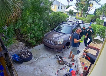 Polícia é chamada para socorrer ‘mulher em apuros’ e acaba dando de cara com papagaio gaiato