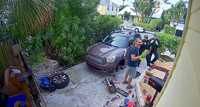 Polícia é chamada para socorrer ‘mulher em apuros’ e acaba dando de cara com papagaio gaiato