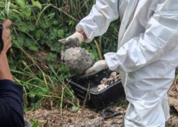 Ossada humana é encontrada em terreno baldio de Manaus