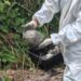Ossada humana é encontrada em terreno baldio de Manaus