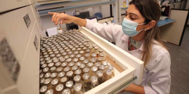 Dia da Mulher: pesquisadora coordena acervo genético com 2,5 mil espécies da Amazônia