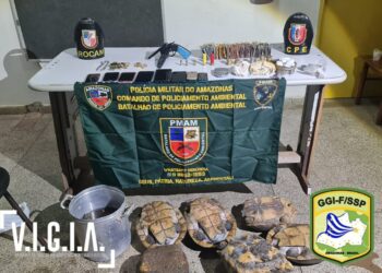 Suspeito é preso até o tucupi de arma, drogas, munições e quelônios no AM