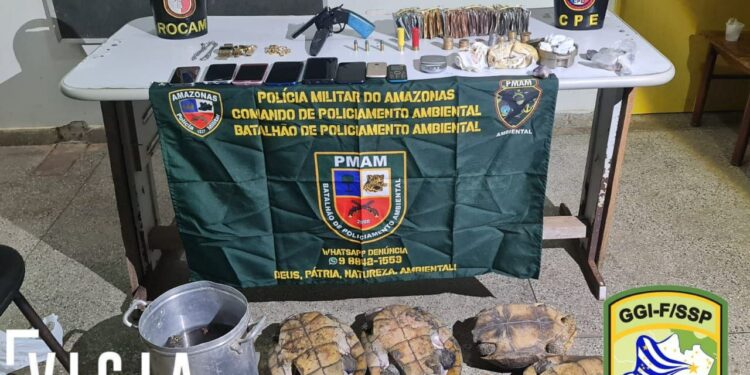 Suspeito é preso até o tucupi de arma, drogas, munições e quelônios no AM