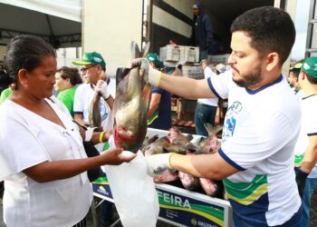 ‘É uma benção’, diz moradora durante entrega do Peixe no Prato Solidário, na Zona Leste