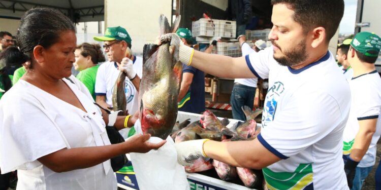 ‘É uma benção’, diz moradora durante entrega do Peixe no Prato Solidário, na Zona Leste