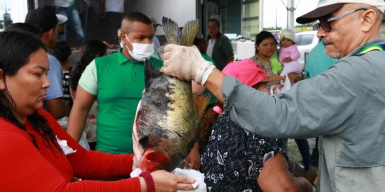 FVS-RCP alerta para cuidados na compra de pescado para a Semana Santa