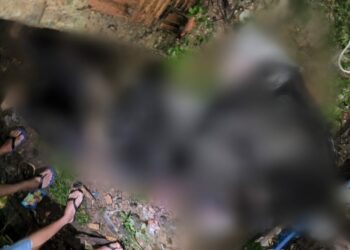 Em beco na Compensa, homem é executado com 11 tiros por todo o corpo