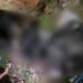 Em beco na Compensa, homem é executado com 11 tiros por todo o corpo