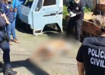 Vídeo: Idoso é encontrado morto por agressão dentro de caçamba no Nova Cidade