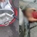 ‘Ladra de panelas’ acaba com as partes íntimas expostas após ser pega pelas vizinhas; vídeo