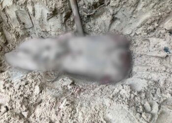 Dupla é presa após esquartejar corpos e enterrar em ‘cemitério clandestino’