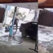 Vídeo: Homem é executado a tiros enquanto lavava carro em casa, em Manaus