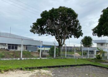 Bandidos invadem empresa no Distrito Industrial de Manaus e rendem vigilantes para roubar armas