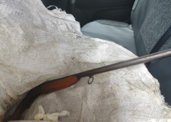 Caseiro mata patrão com tiro na cabeça e corpo é encontrado no fundo de igarapé no Tarumã