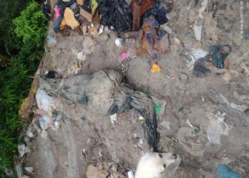 Moradores encontram corpo desovado em lixeira viciada na Zona Norte