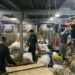 Polícia encontramais de 70 quilos de drogas em blocos de latinhas prensada dentro de embarcação no AM