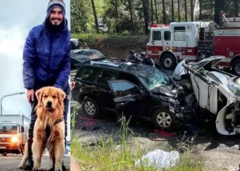 Veja: fotos mostram Fusca de Jesse Koz destruído logo após acidente fatal