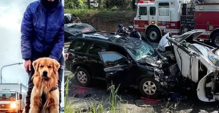Veja: fotos mostram Fusca de Jesse Koz destruído logo após acidente fatal