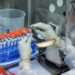 FVS emite alerta de risco e confirma primeiros casos da subvariante da ômicron no AM