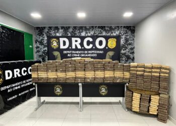 Em 24 horas, Polícia realiza três grandes apreensões de drogas avaliadas em mais de R$ 14 milhões no AM