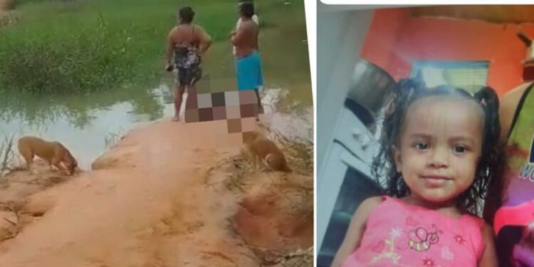 Menina desaparecida é encontrada sem vida em igarapé de Manaus