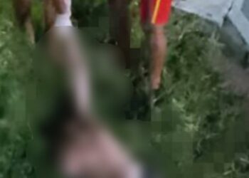 Corpos decapitados boiando em Manaus: segundo cadáver é encontrado em igarapé