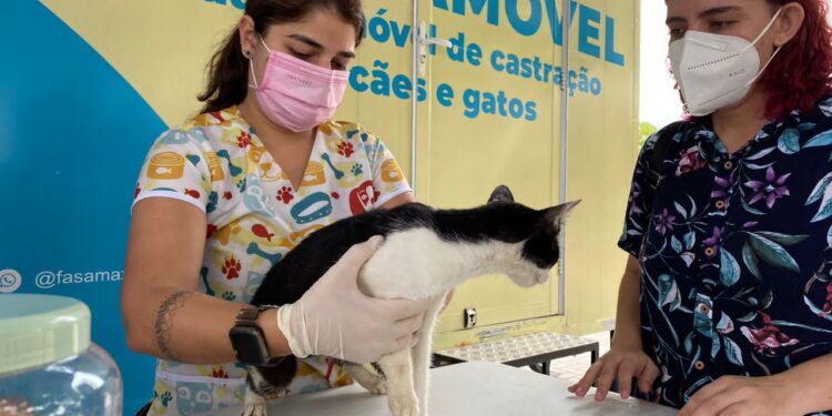Sema promove mutirão de castração para cães e gatos na Cidade Nova