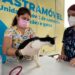 Sema promove mutirão de castração para cães e gatos na Cidade Nova