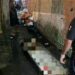 Homem morre durante ataque criminoso em beco na Compensa