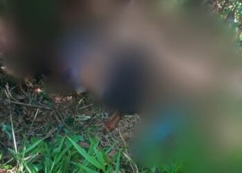 Grávida que estava desaparecida é encontrada morta a tiros em antiga invasão, em Manaus