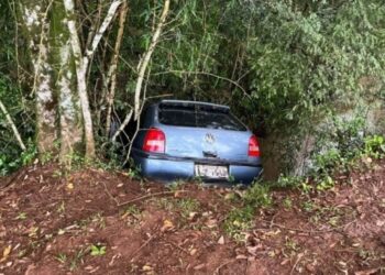 Bebê de 2 anos é encontrada viva ao lado da mãe morta, um dia após acidente