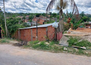 Jovem vê irmãos apanhando do padrasto bêbado e ela mete as facadas sem piedade