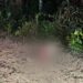 Cristãos encontram cadáver com olho furado em campo de oração em Manaus